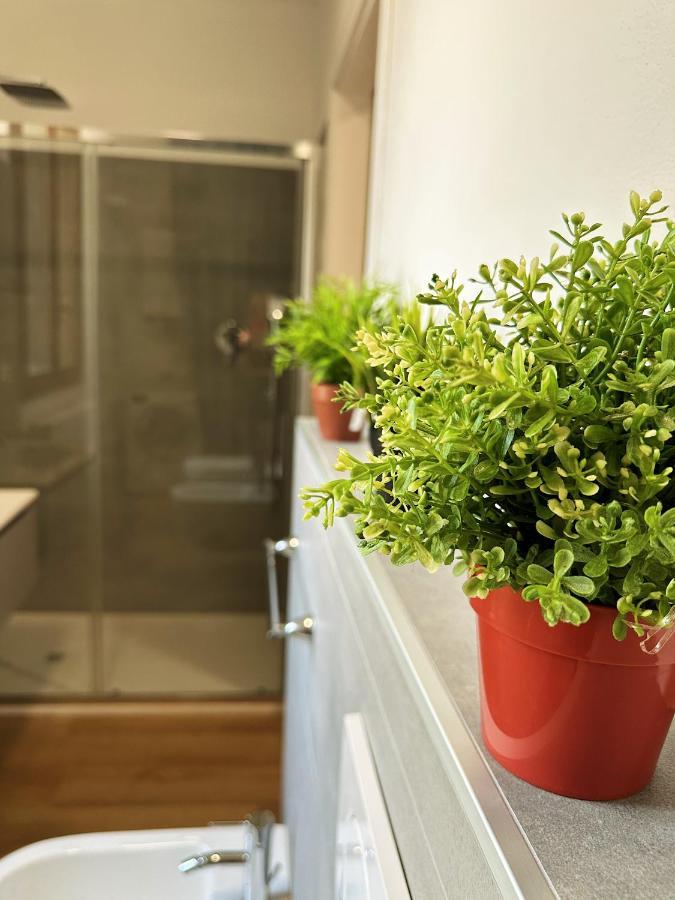 In Mezzo All'Aria Apartment Mezzolara Kültér fotó