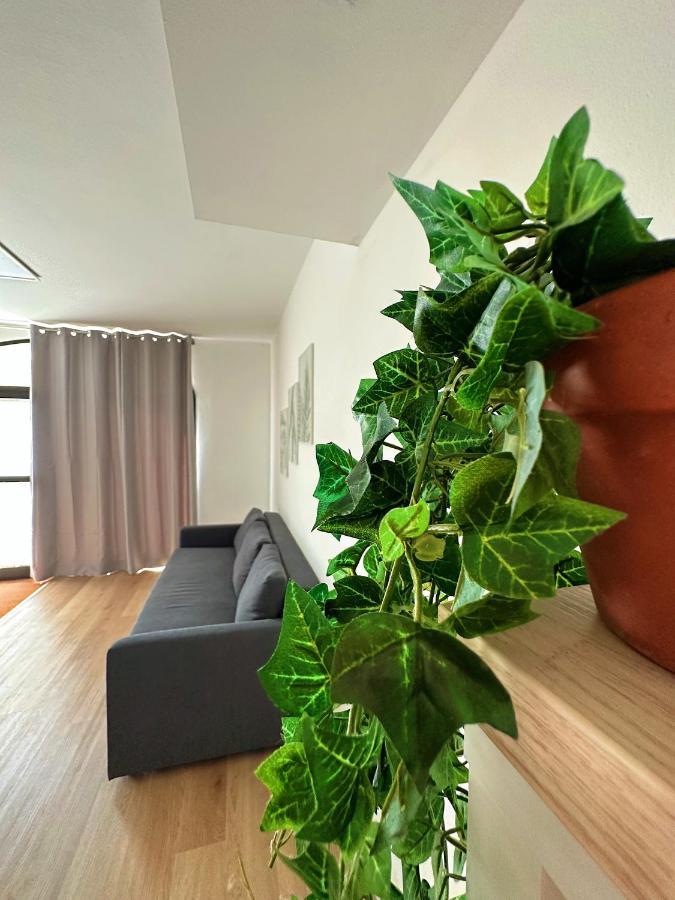 In Mezzo All'Aria Apartment Mezzolara Kültér fotó